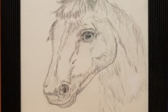 Pferdekopf "Rahmen 25 cm x 30 cm