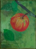 Premiumapfel, 18 cm x 24 cm
