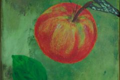 Premiumapfel, 18 cm x 24 cm