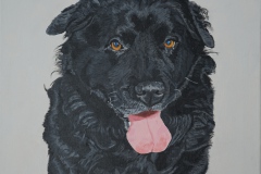 "Bobby" 50 cm x 50 cm