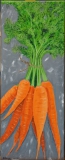 "Karotten" 20 cm x 50 cm