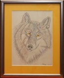 Wolf "Rahmen 25 cm + 31 cm"