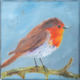 Rotkehlchen "15 cm x 15 cm"