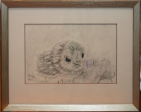 Das Küken Rahmen 24 cm x 30 cm
