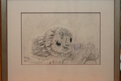 Das Küken Rahmen 24 cm x 30 cm