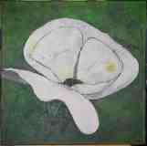 "Weisse-Blüte" 70 cm x 70 cm