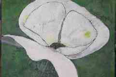 "Weisse-Blüte" 70 cm x 70 cm