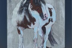 Pferd Mary