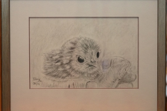 Das Küken Rahmen 24 cm x 30 cm