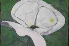 "Weisse-Blüte" 70 cm x 70 cm